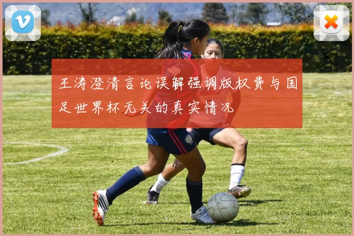 王涛澄清言论误解强调版权费与国足世界杯无关的真实情况